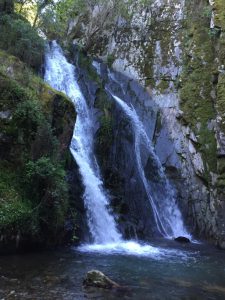 Fraga da Pena klein 225x300