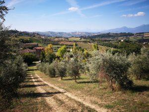 The rolling hills and the mountains of Le Marche - that\\\\\\\\\\\\\\\'s the view from the top of the hill of Villa Bussola - Le Marche