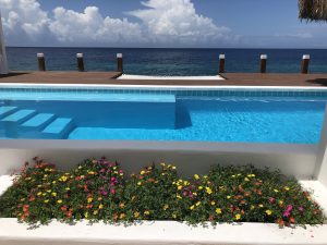 IMG 8397 voor global dutchies 300x225