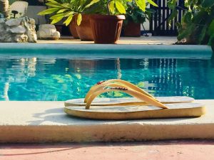 a6270830 0016 4846 bdd0 fc70c5cc8e38 300x225