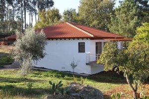 IMG 8099.kl  300x200