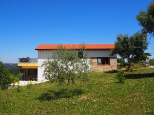 P5020244.kl  300x225