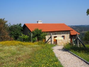 P6230145.kl  300x225