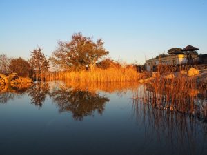 PC220098.kl  300x225