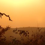 Fotografiereis Zuid Afrika met ZaZoe Xperience 150x150