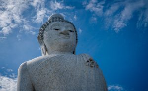 DSC09657 550 kb 300x186