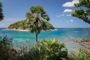 MG 0344 800 kb 300x200