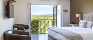 5 WedgeView VineyardRoom No.17 Overview 4 e1615366287765 300x131