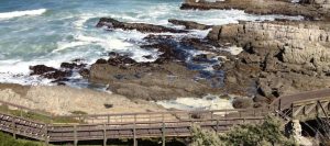 IMG 2292 e1374347238421 300x133