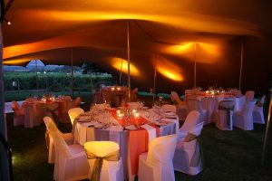 wedgeview country house and spa stellenbosch function 3 300x200