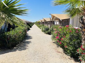 9 Villa Alwin Beach Resort straatje Beach 300x221