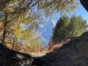 kleiner GD 6 300x225