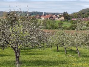 IMG 20210508 105946257 300x224