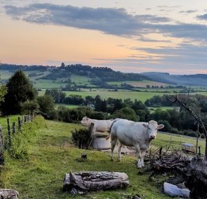 IMG 20210823 202340917 2 300x288