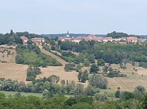 IMG 20220729 131512231 300x224