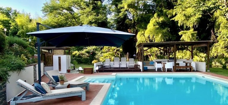 image1 min 1 768x355