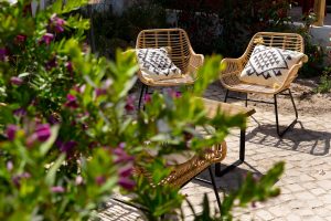 014 QuintadosPernobes Videira 2023 300x200