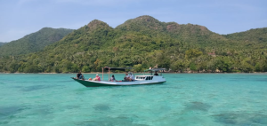 Indonesia 2 Medium 300x142