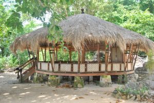 Pendoppo foto 4 Medium 300x201