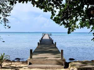 jetty foto 1 Medium 300x225