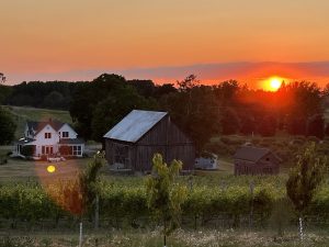 USA IRene 5 sunset 300x225