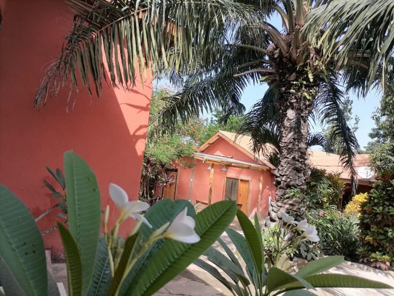 a glimpse of our garden and dorm entrance 768x576