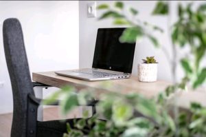 inbound2971187620784612492 300x199