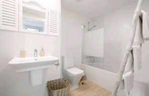 inbound4473969848515721819 300x194