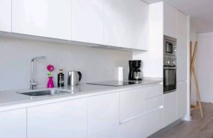 inbound6662543186588323087 300x194