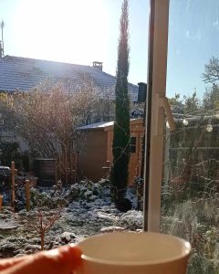 377303023 1416162169285185 6985391575671152596 n 240x300