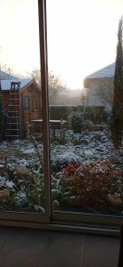 385534698 1347768282519298 6065430092478934176 n 139x300