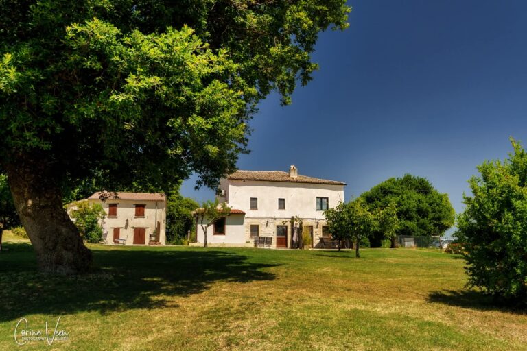 FB IMG 1751864759337 768x512