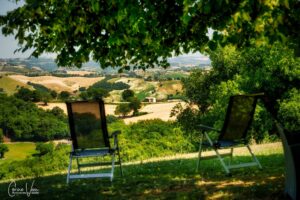 FB IMG 1751864766253 300x200