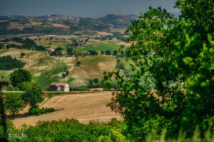 FB IMG 1751864783866 300x200