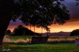 FB IMG 1751864799318 300x200