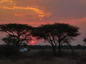 Wat is de beste reistijd voor Zuid-Afrika? Global Dutchies vakantie