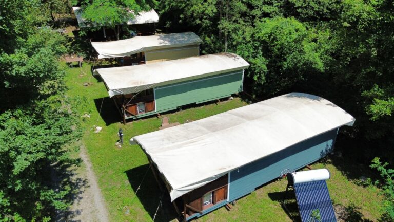 2e9dd261 f5a1 4bf7 b21c d5d3ed5ec0f8 768x432