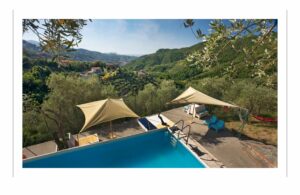 A©jansuijs MG 0485 300x195