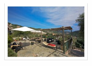 A©jansuijs MG 9825 300x218