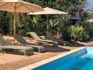 ad42ad9f 6500 4e2a 85c3 d7be3d5db9b7 1 300x225