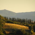 uitzichten Anna Rosa toscane Italie kindvriendelijk6 150x150