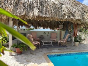 19919ddf 74e1 4c08 acfa bc55caa7cdb8 300x225