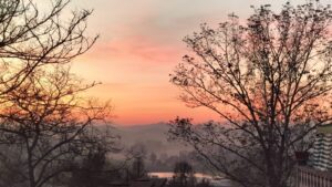 IMG 20241110 WA0105 300x169