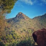 IMG 20250702 WA0001 150x150