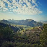 IMG 20250702 WA0009 150x150