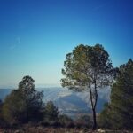 IMG 20250702 WA0011 150x150