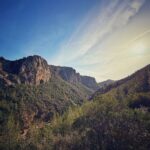 IMG 20250702 WA0022 150x150