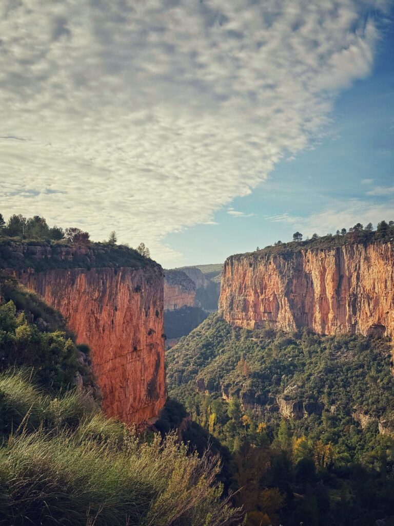 IMG 20250702 WA0024 768x1024