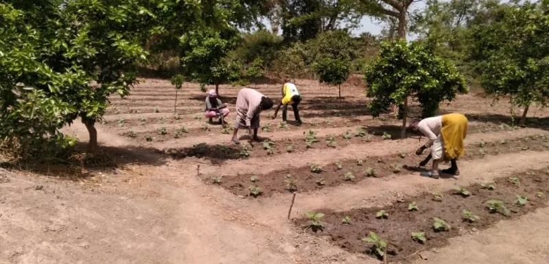 Global Dutchies Anne-Mieke bouwt in Senegal aan duurzame toekomst voor vrouwen 5 Global Dutchies Anne-Mieke bouwt in Senegal aan duurzame toekomst voor vrouwen